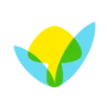 Greenhood